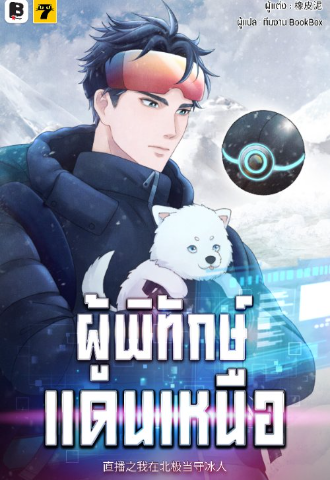 Novel